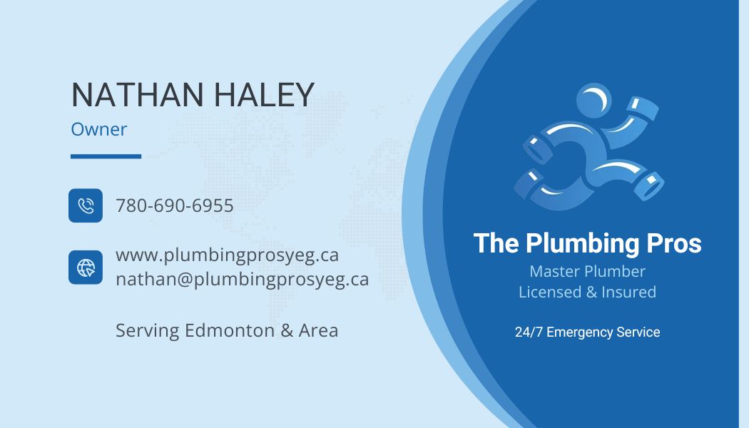 The Plumbing Pros business card design
