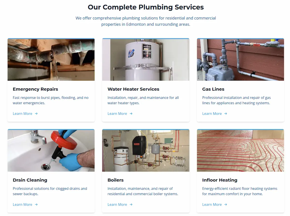 The Plumbing Pros services page